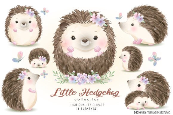 Little Hedgehog Collection Clipart: A Practical Evaluation for Creative Professionals